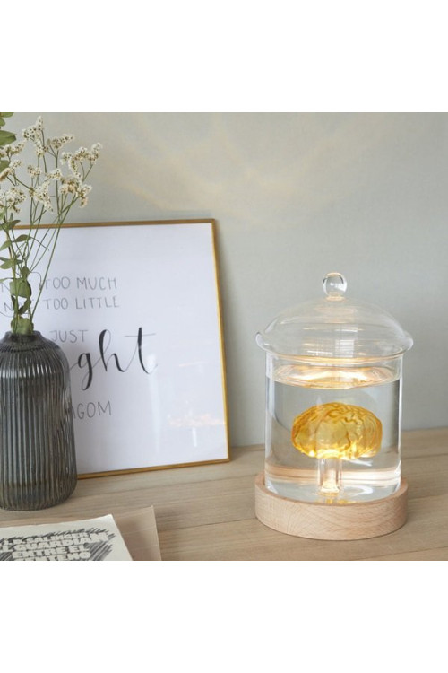 Lampka dekoracyjna Mózg w formalinie