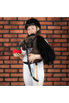 Konik na kiju - Hobby Horse - Gniady