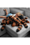 Pluszak Tarantula Gigant - 80 cm