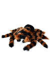 Pluszak Tarantula Gigant - 80 cm