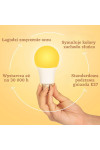 Zestaw 2szt. Żarówka Amber Red E27 3,5W